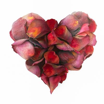 【Imaging】イメージフォト