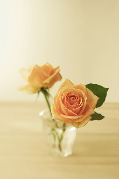 【Imaging】イメージフォト