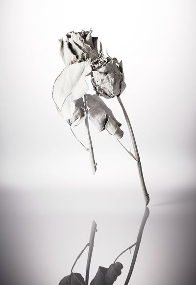 【Imaging】イメージフォト