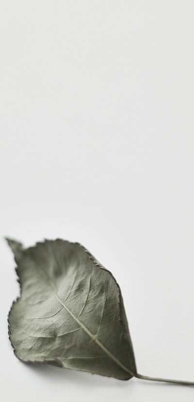 【Imaging】イメージフォト