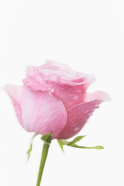 【Imaging】イメージフォト