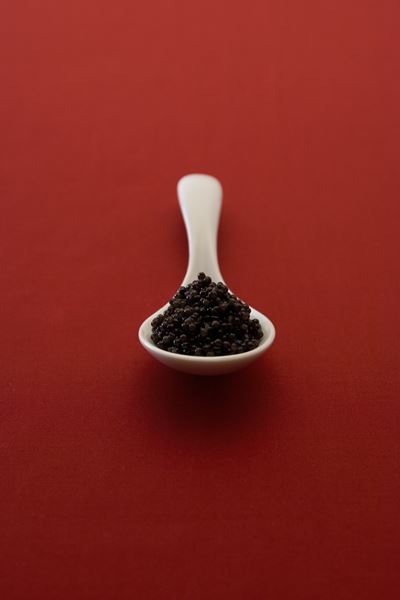 【ウェスティン都】イメージフォト