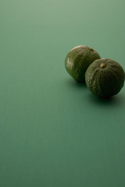 【ウェスティン都】イベント告知冊子